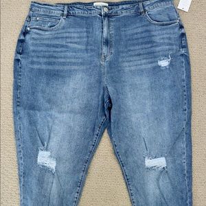 Eloquii jeans